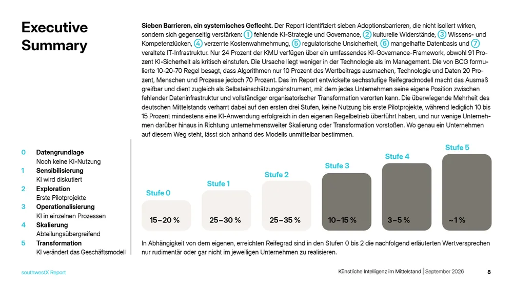Report-Seite: Reifegradmodell in sechs Stufen